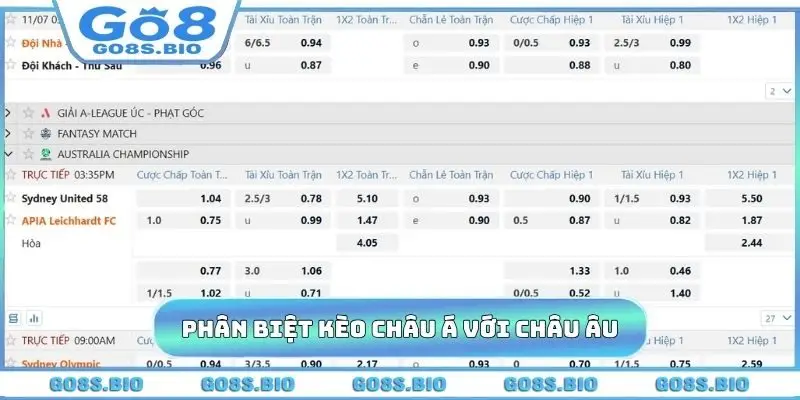 Phân biệt kèo châu Á với châu Âu