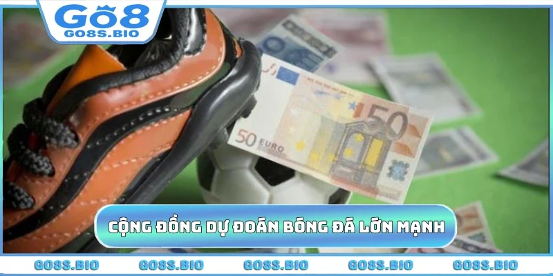 Cộng đồng dự đoán bóng đá lớn mạnh