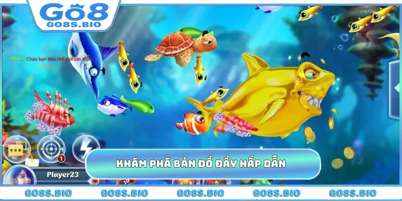 Khám phá bản đồ đầy hấp dẫn